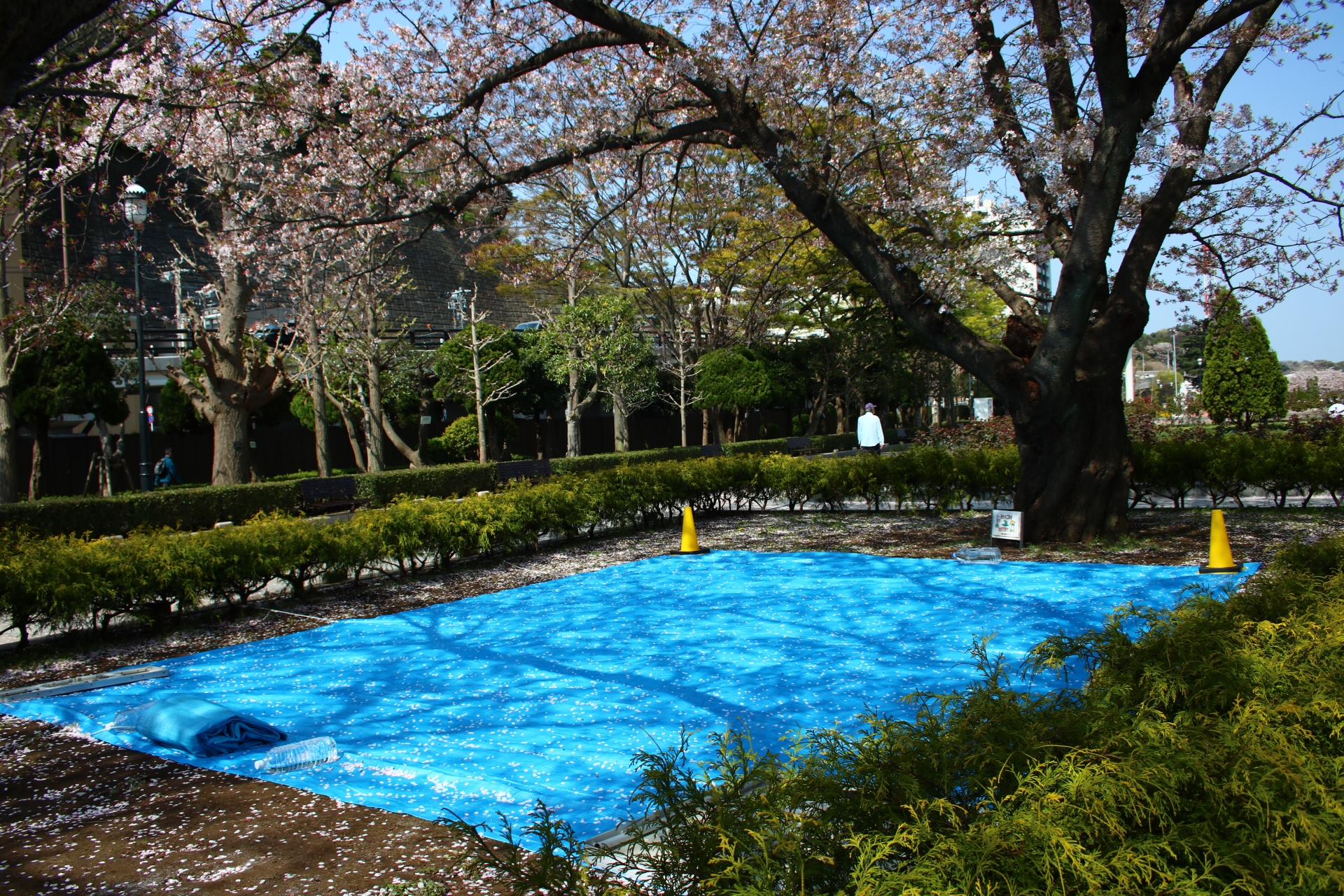 風向きを意識したレイアウトで使いやすさアップ