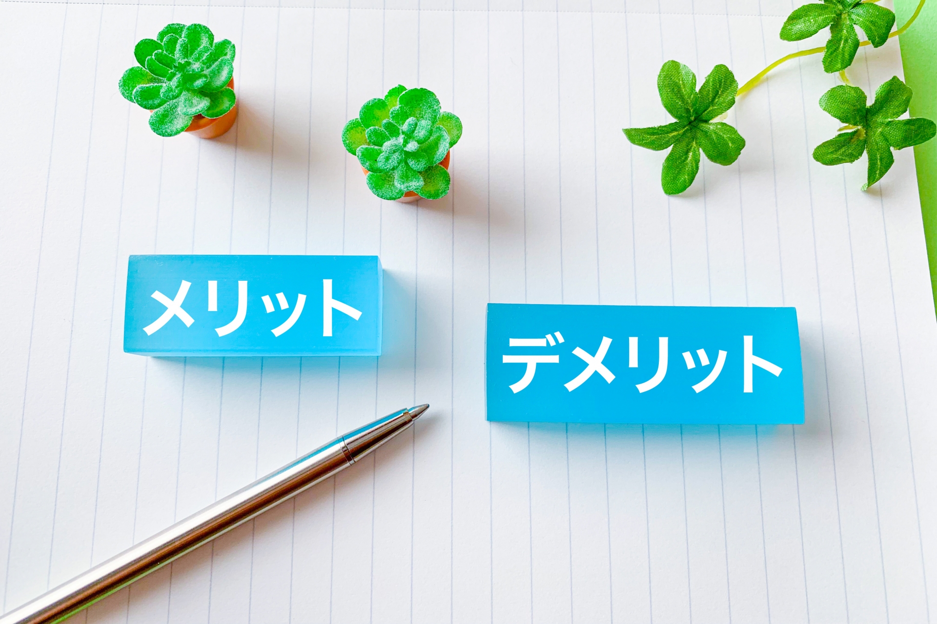 体験談｜虫なし飼育でわかったメリット・デメリット