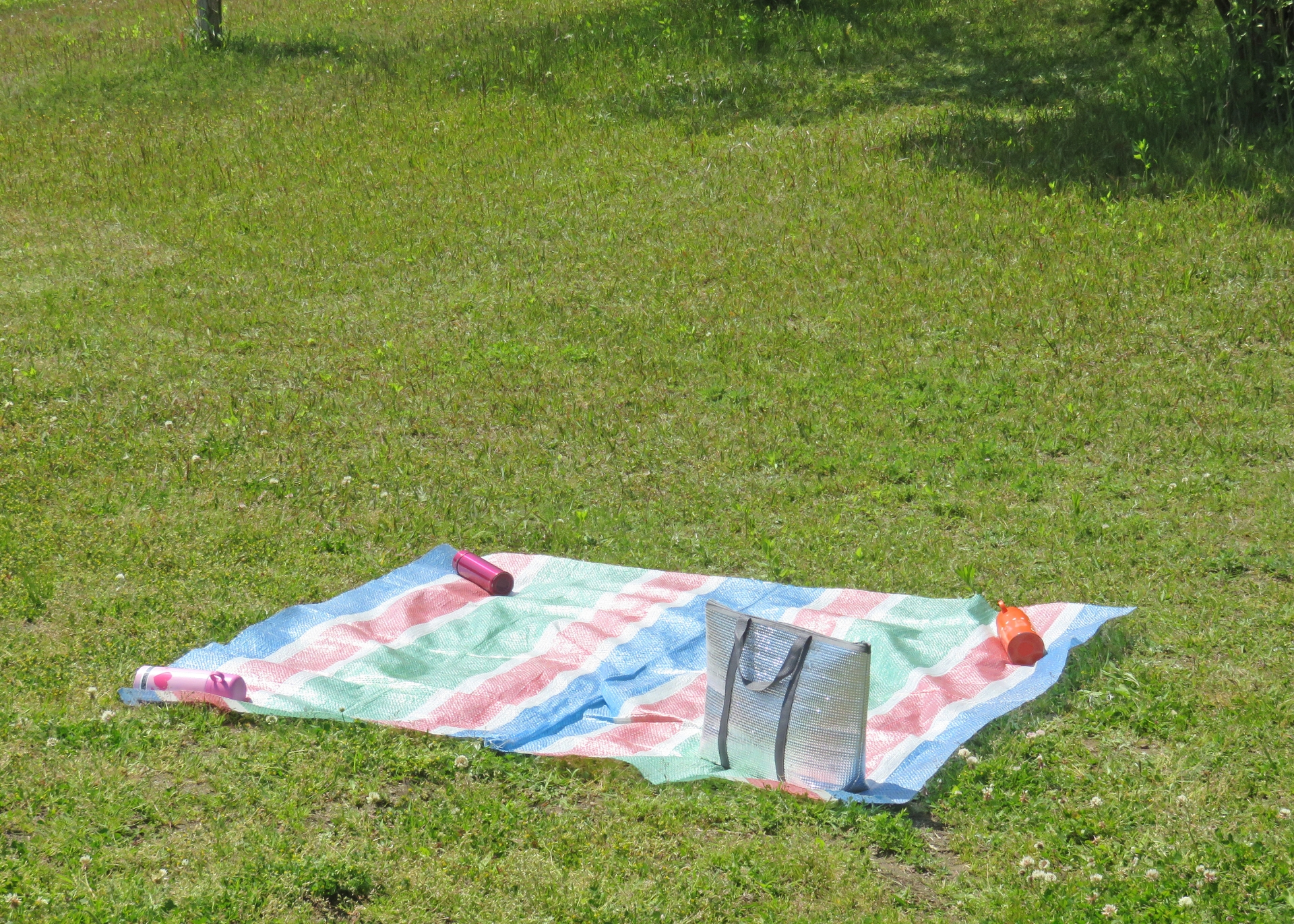 身近なアイテムで代用できる工夫