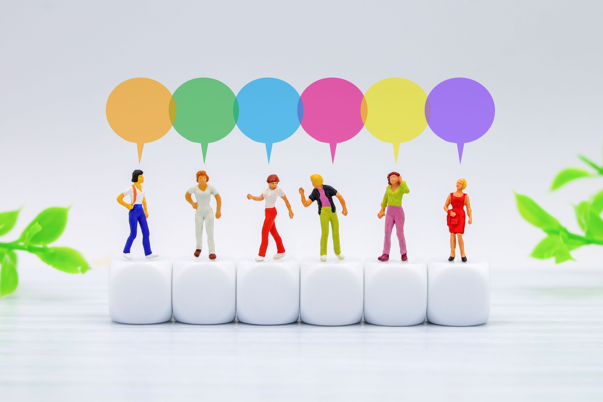 SNSで使われるroastを理解しよう