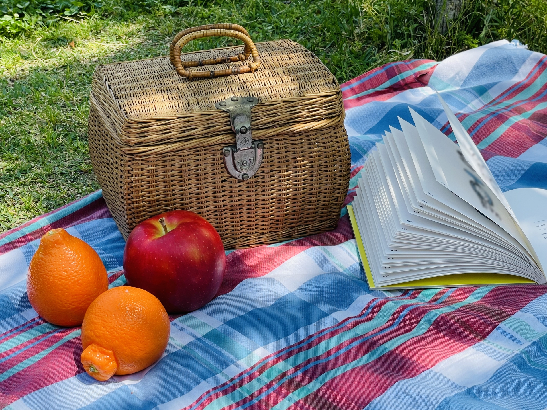 100均で見つかる!レジャーシートの安定に役立つ便利アイテム