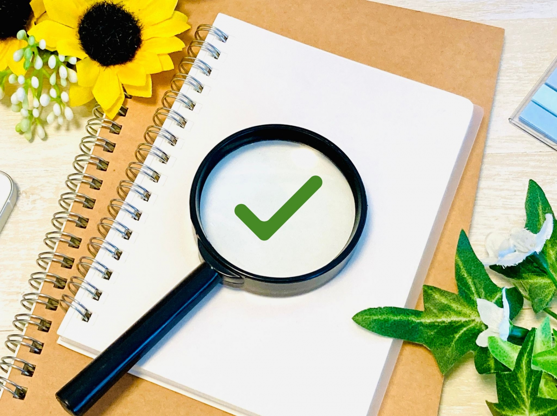 カマキリに必要な栄養と、代替エサの選び方のポイント